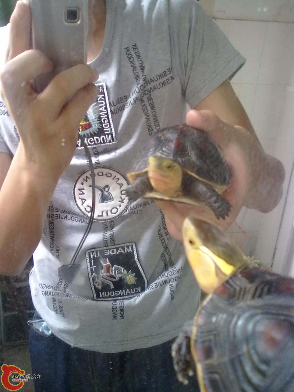 20110905358.jpg