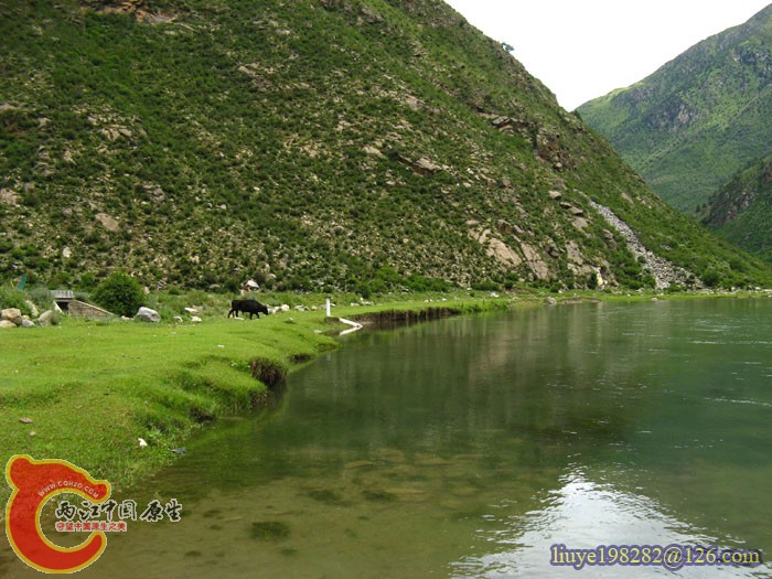IMG (111).jpg