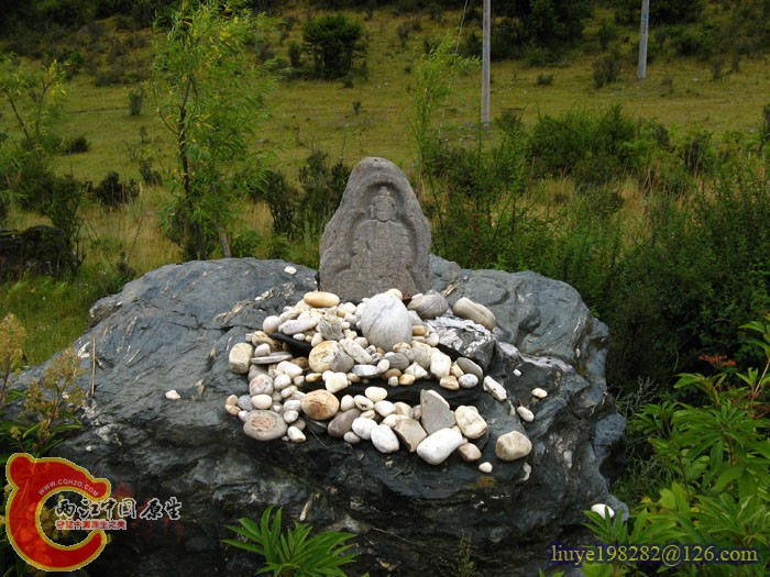 IMG (118).jpg