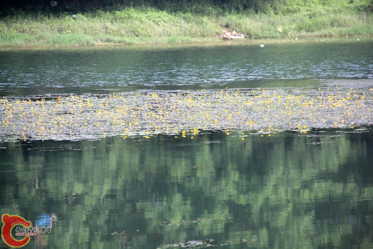 IMG_2685.jpg