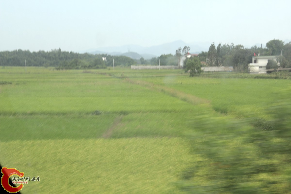 IMG_2732.jpg