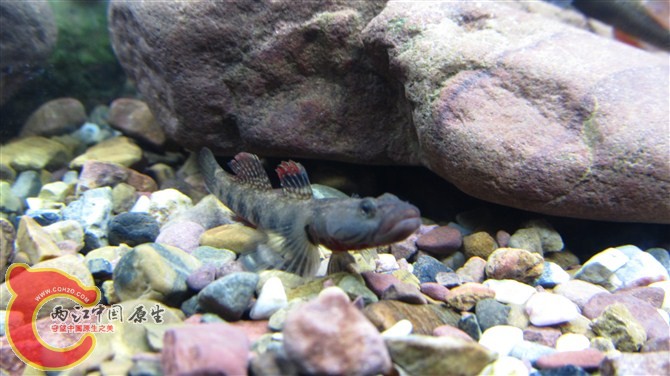 http_imgload[8] (2).jpg