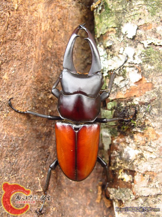 IMG (270).jpg
