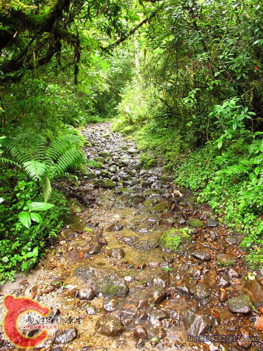 IMG (280).jpg