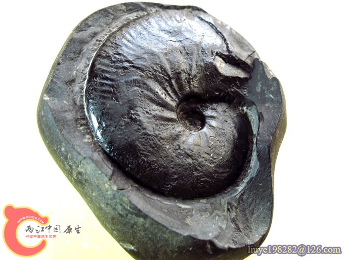 IMG (292).jpg