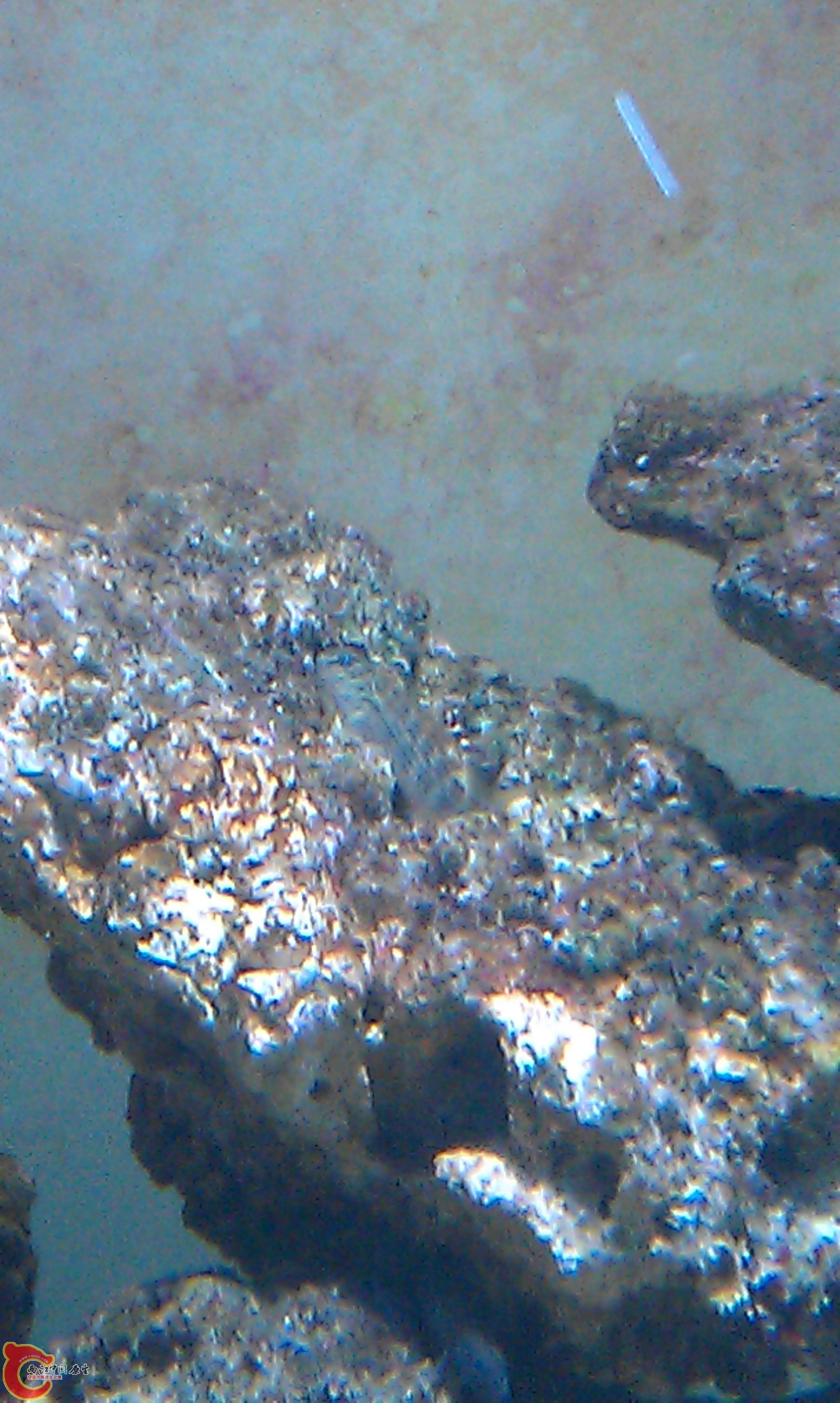IMAG0086.jpg