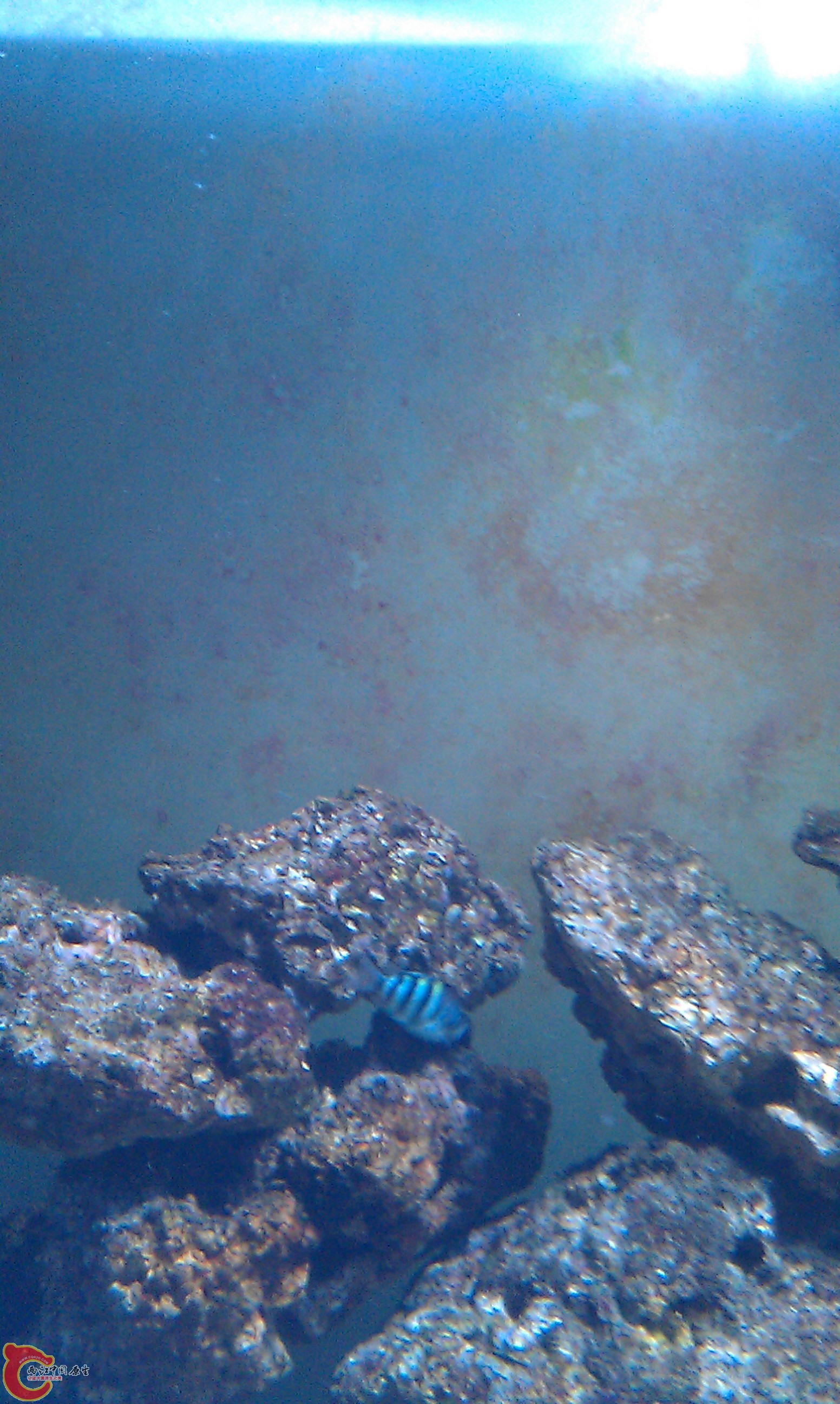 IMAG0097.jpg