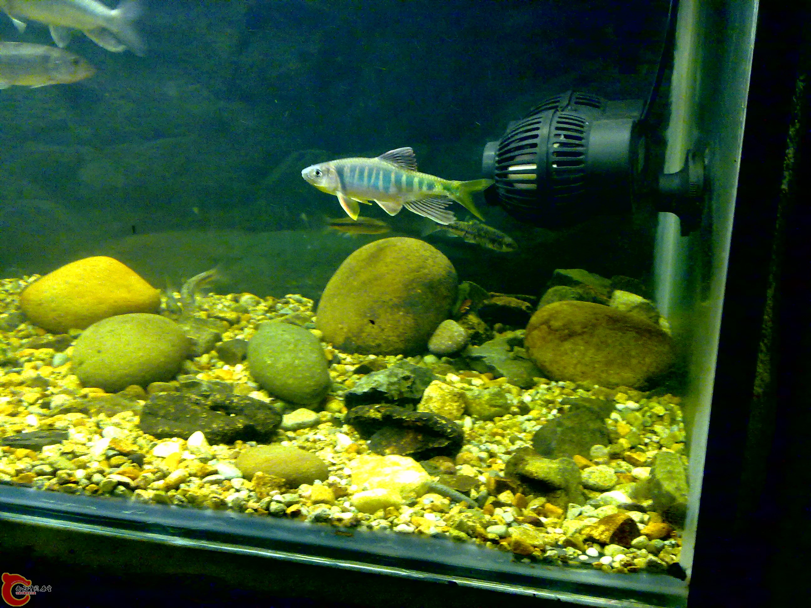 201109121556.jpg
