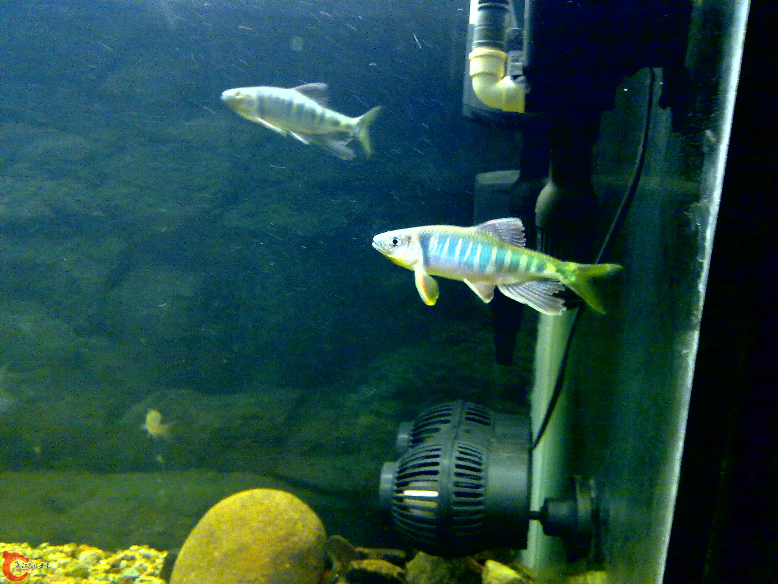 201109121580.jpg