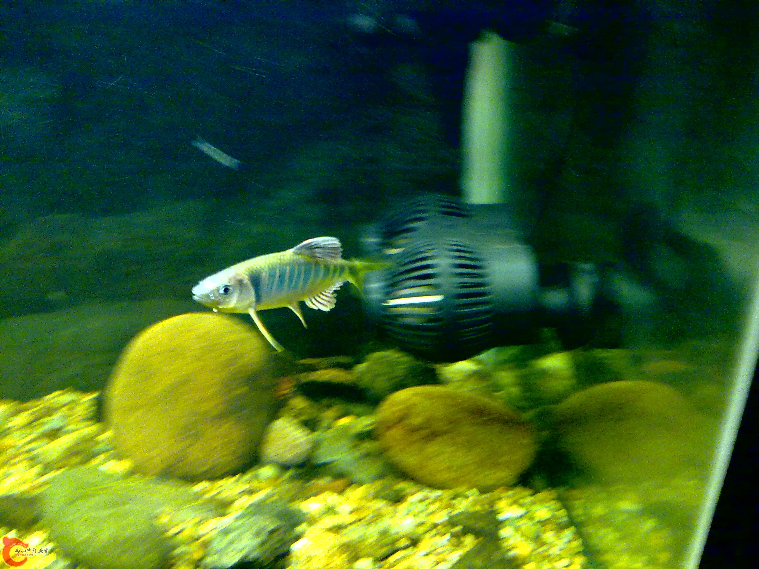 201109121587.jpg