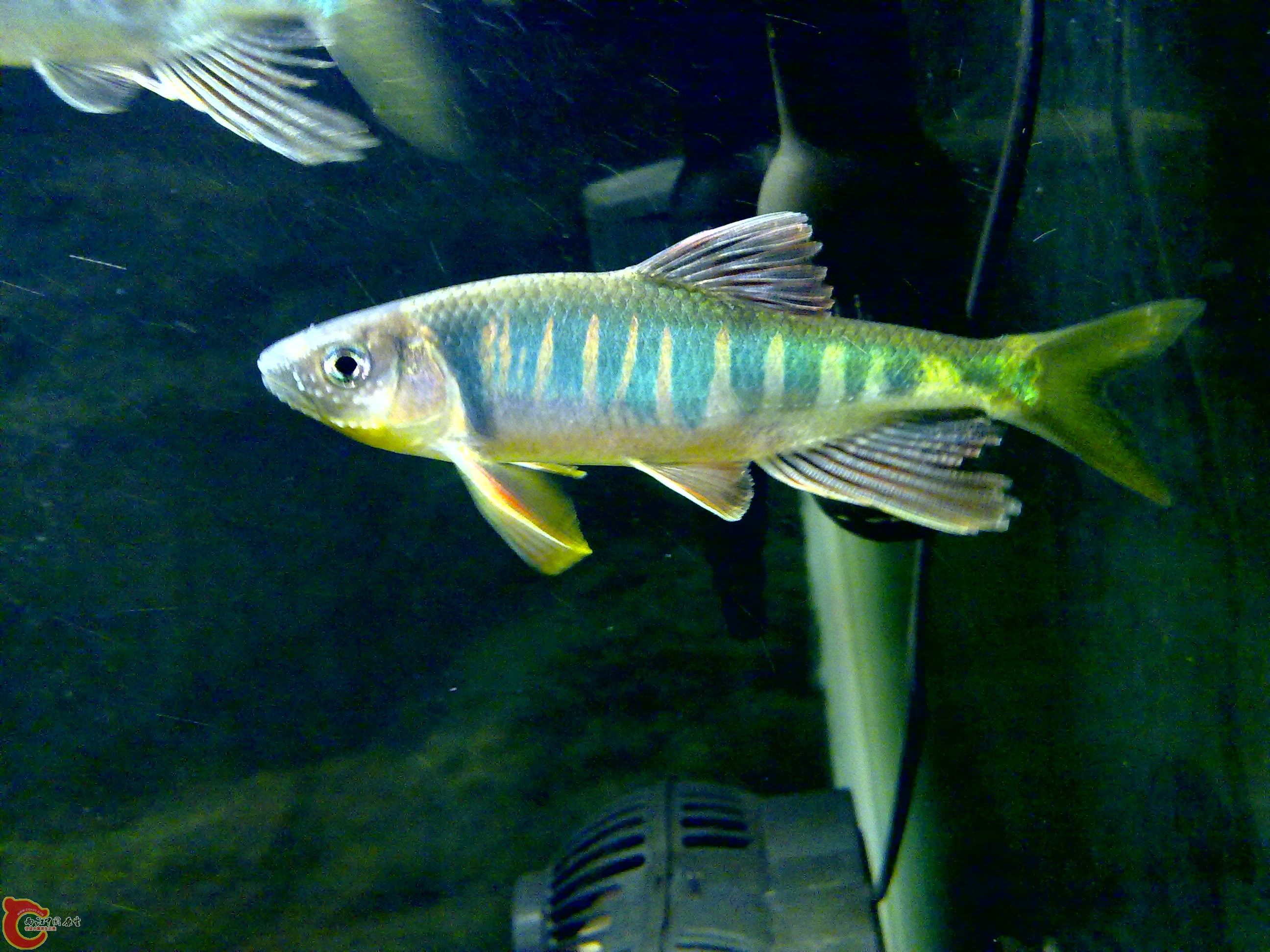 201109121619.jpg