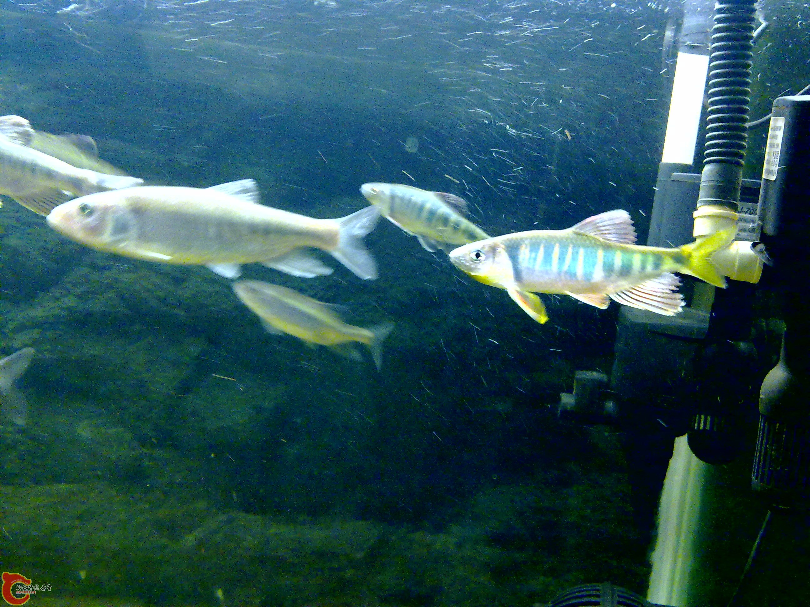 201109121634.jpg
