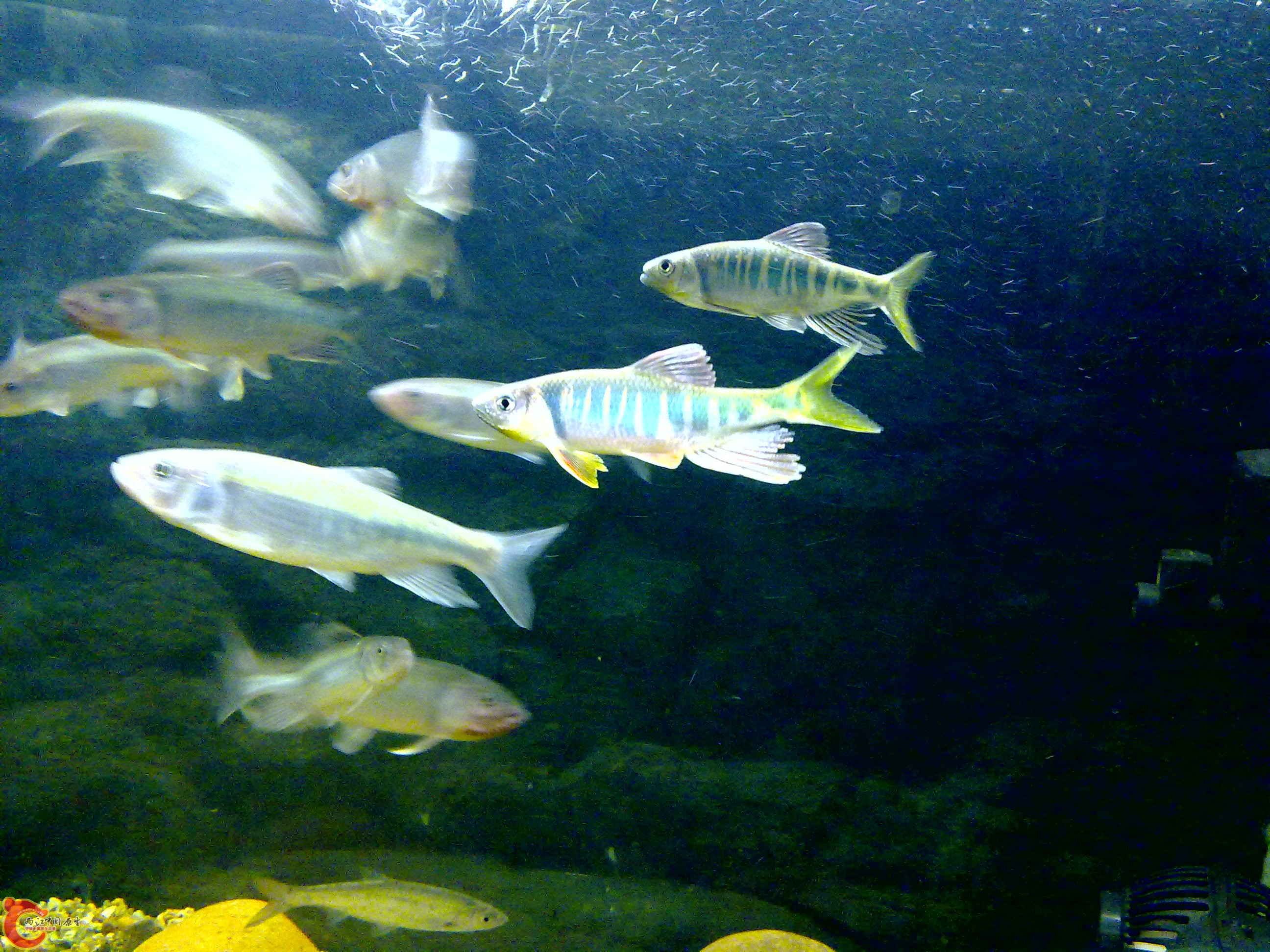 201109121639.jpg