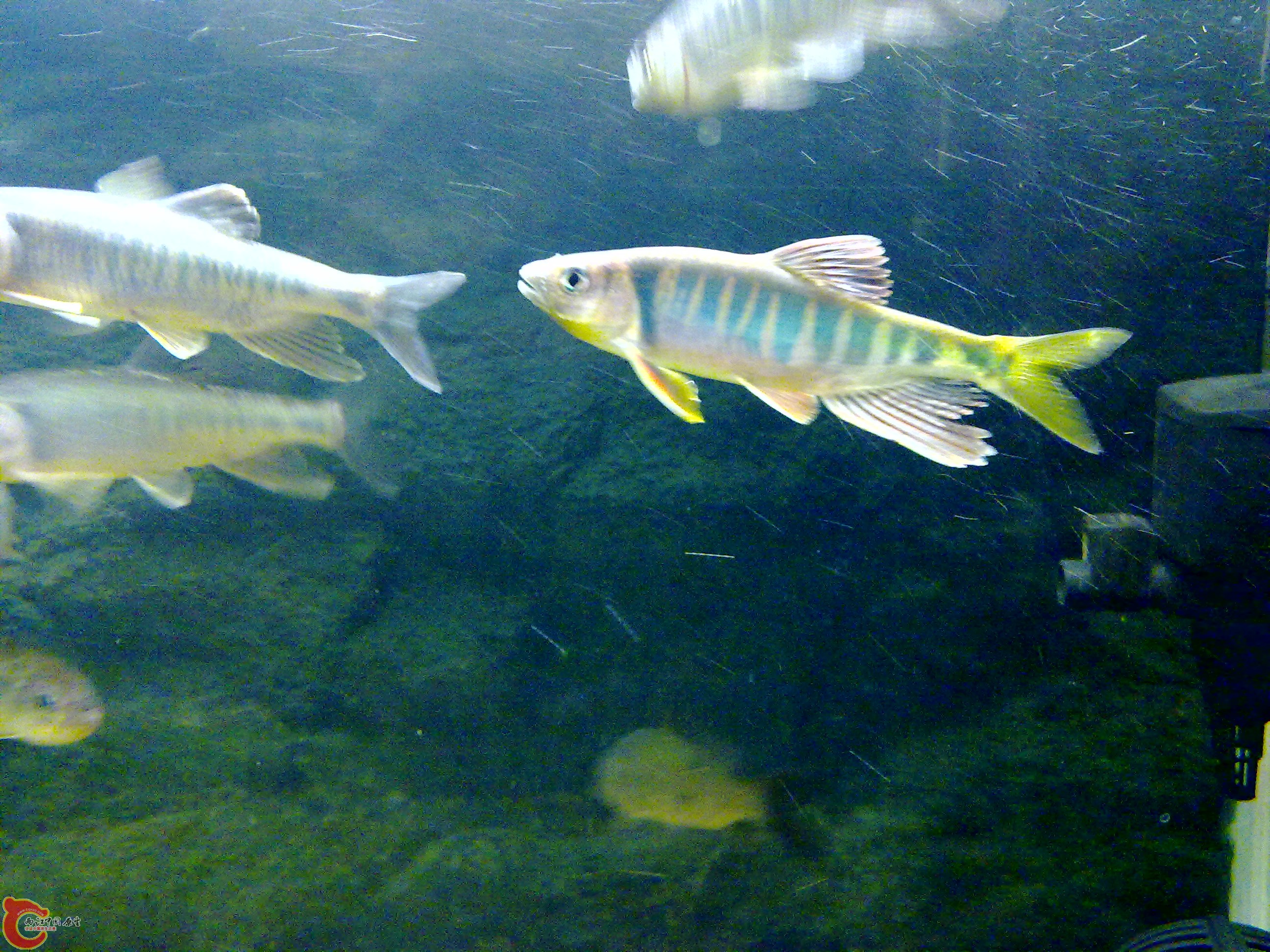 201109121640.jpg