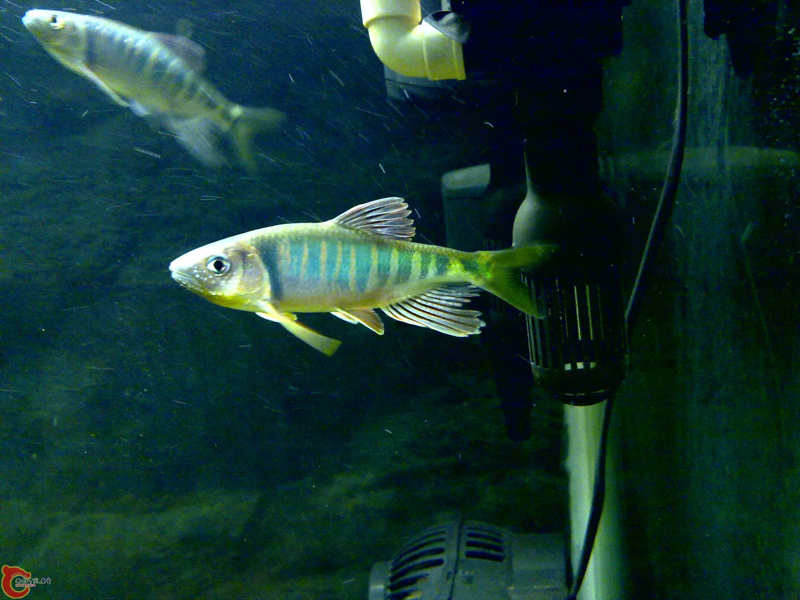 201109121651.jpg
