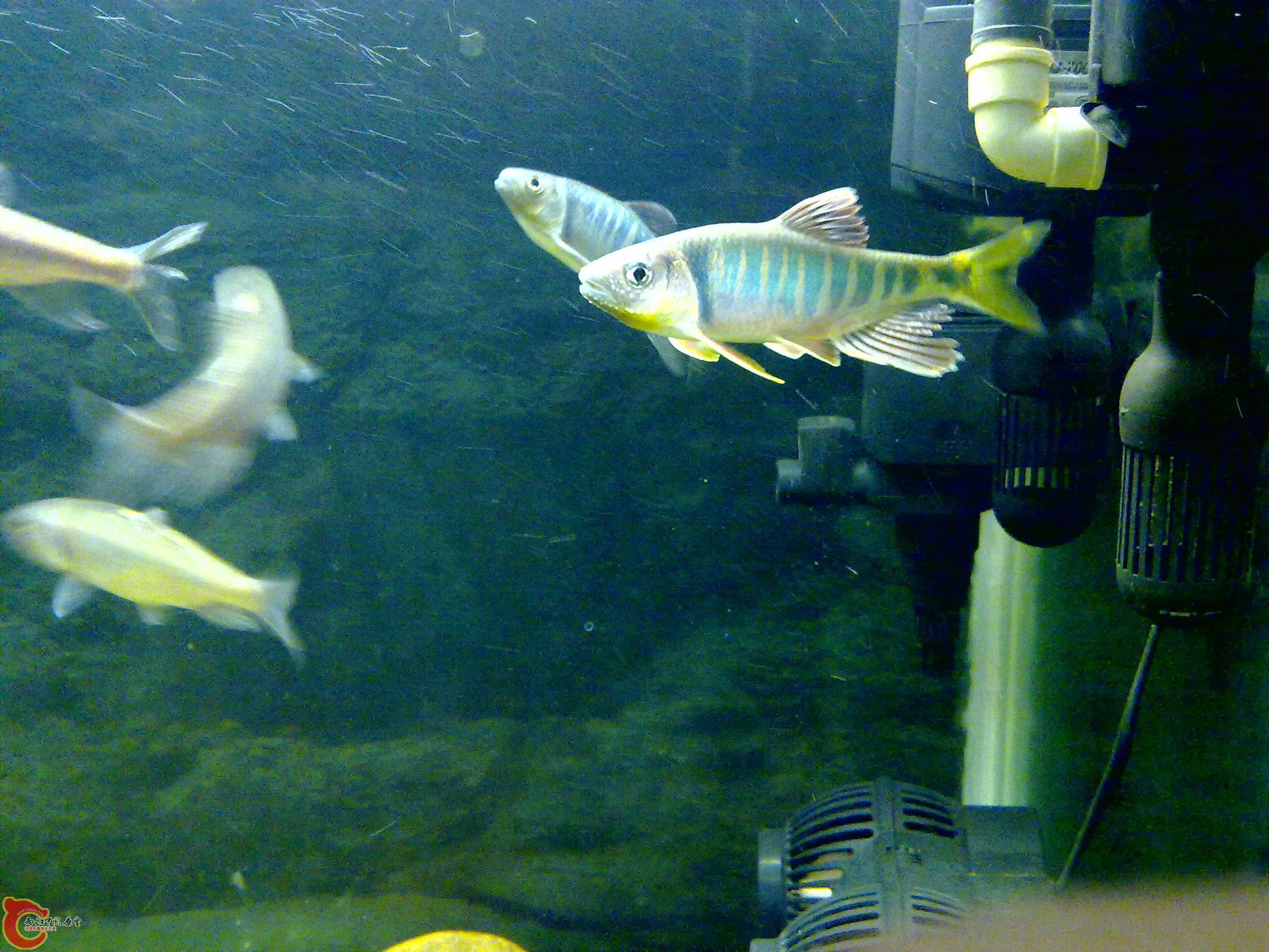 201109121655.jpg