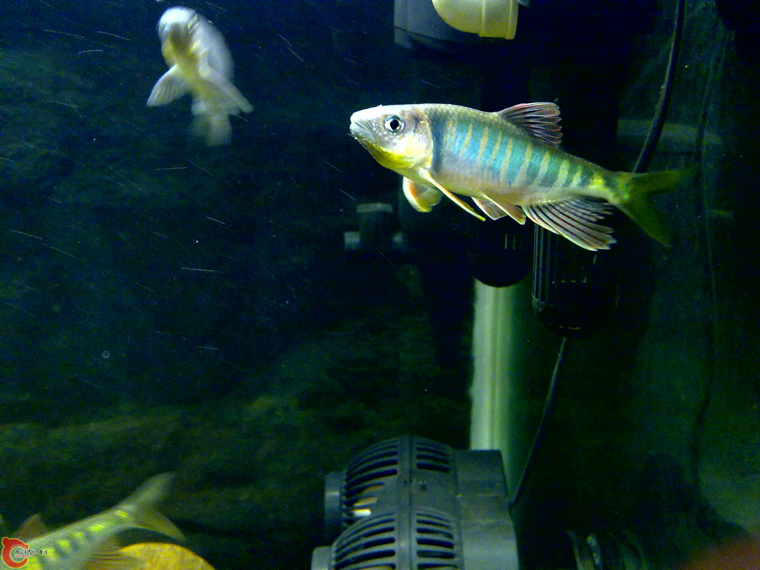 201109121664.jpg