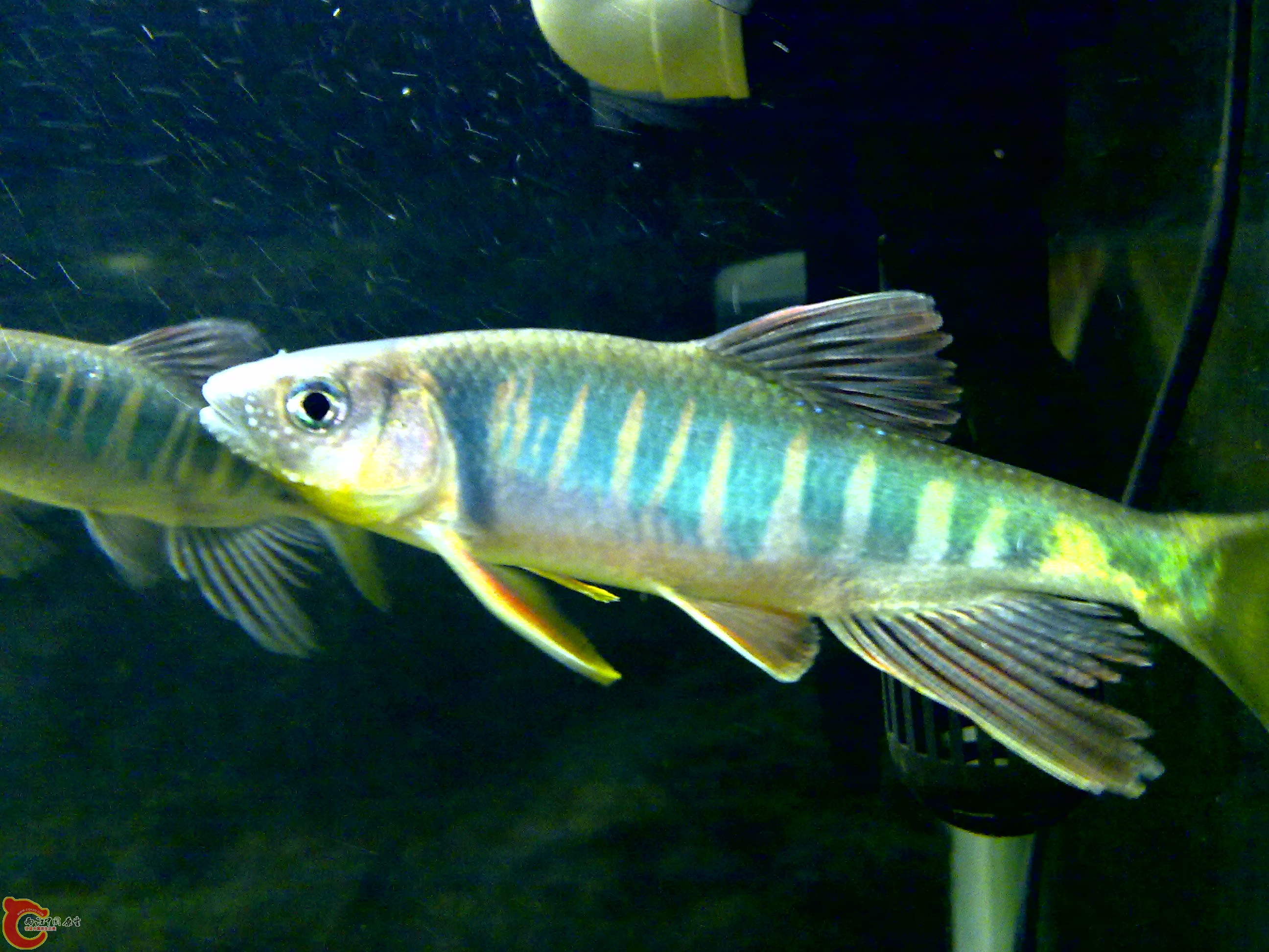 201109121681.jpg