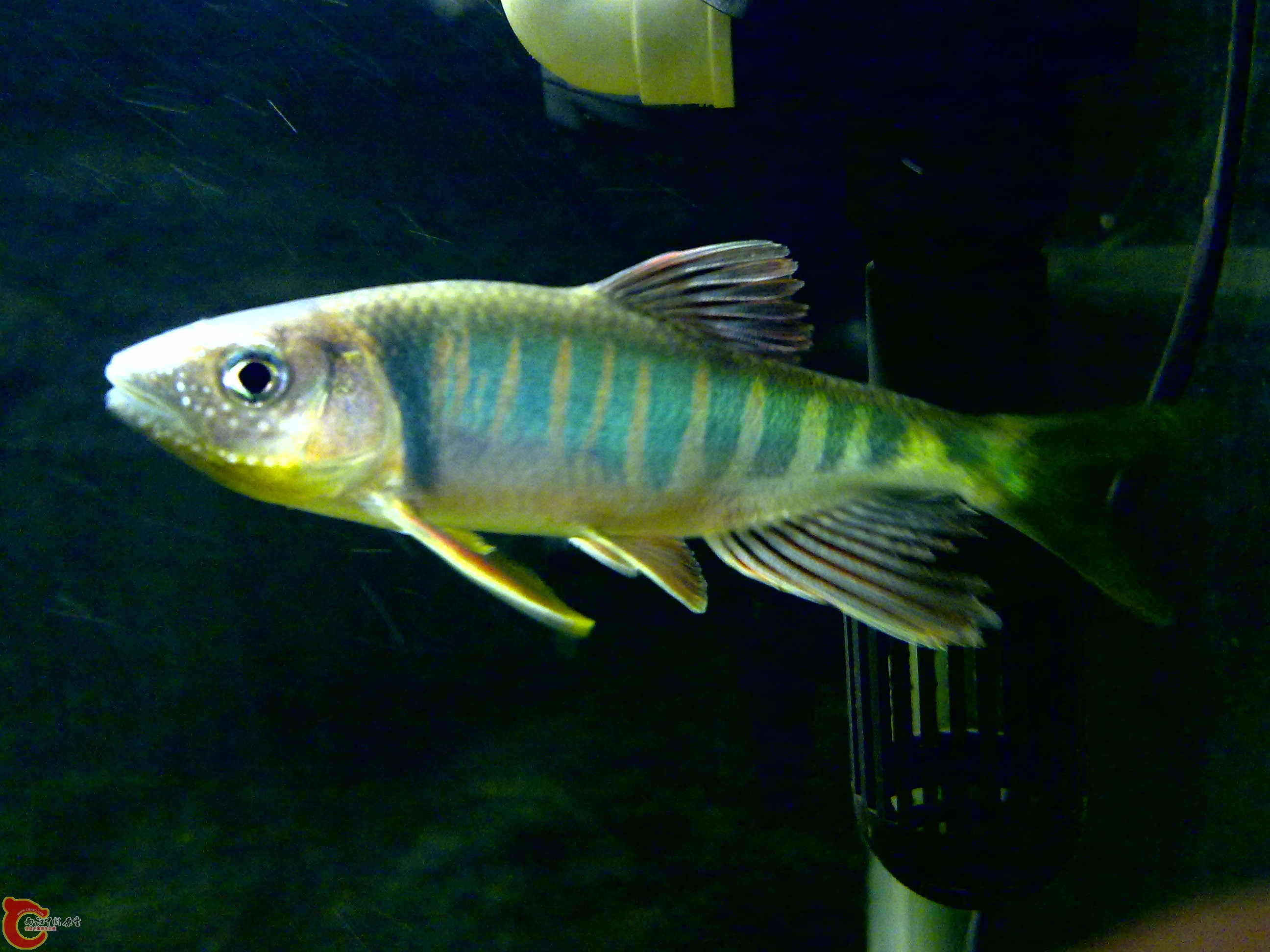 201109121682.jpg