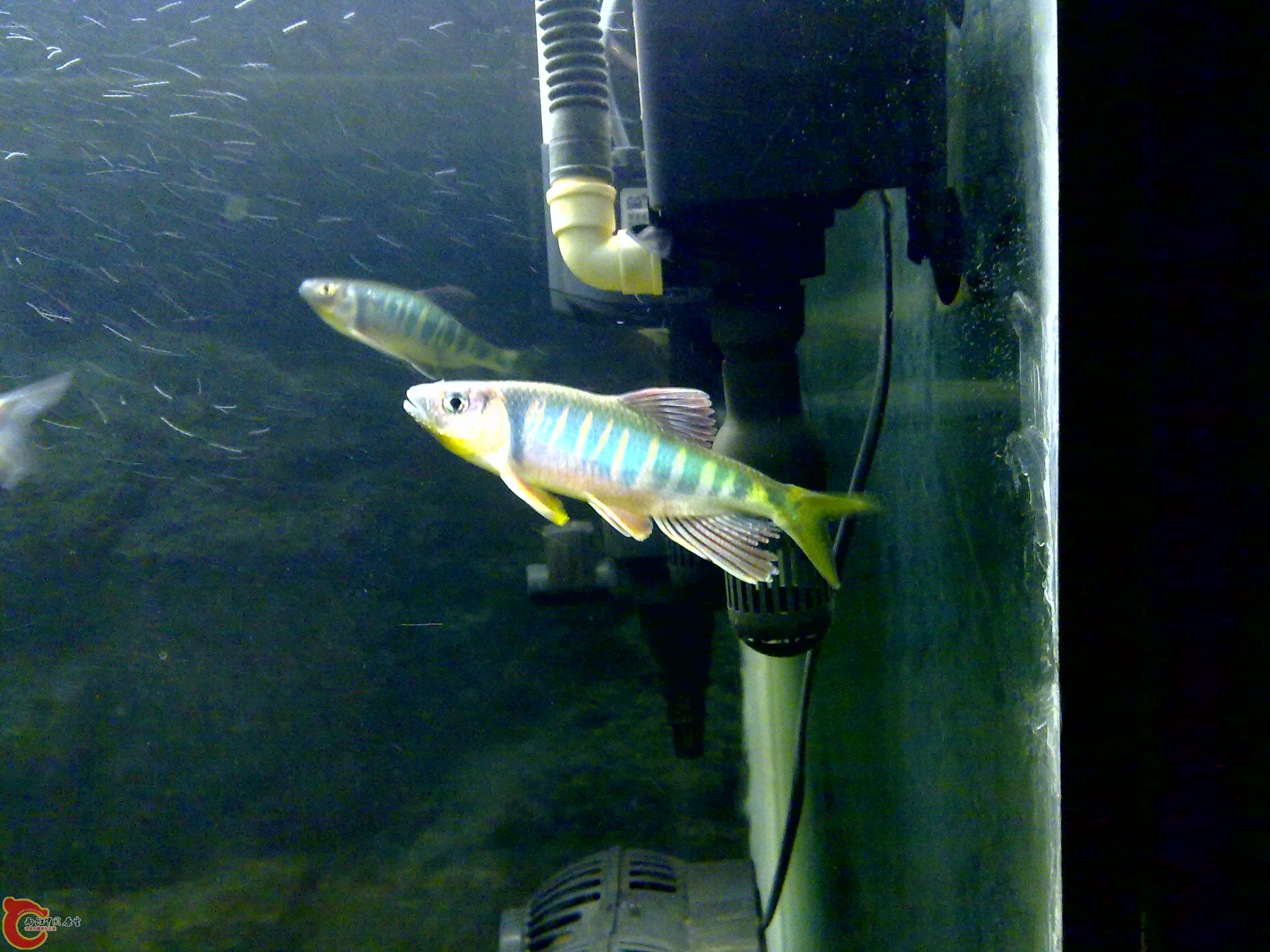 201109121687.jpg