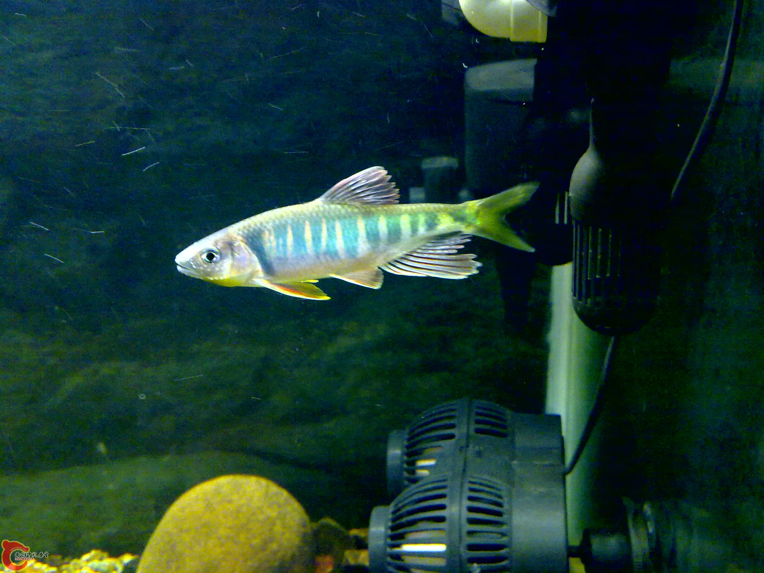 201109121695.jpg