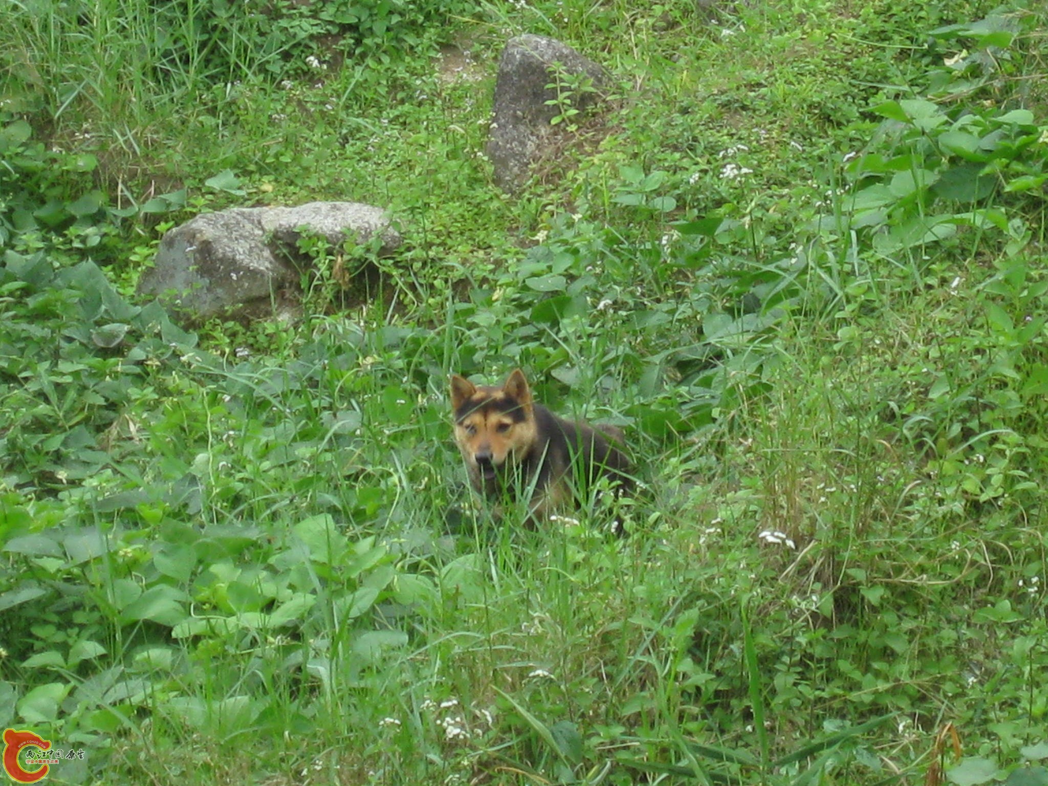 IMG_1178.JPG