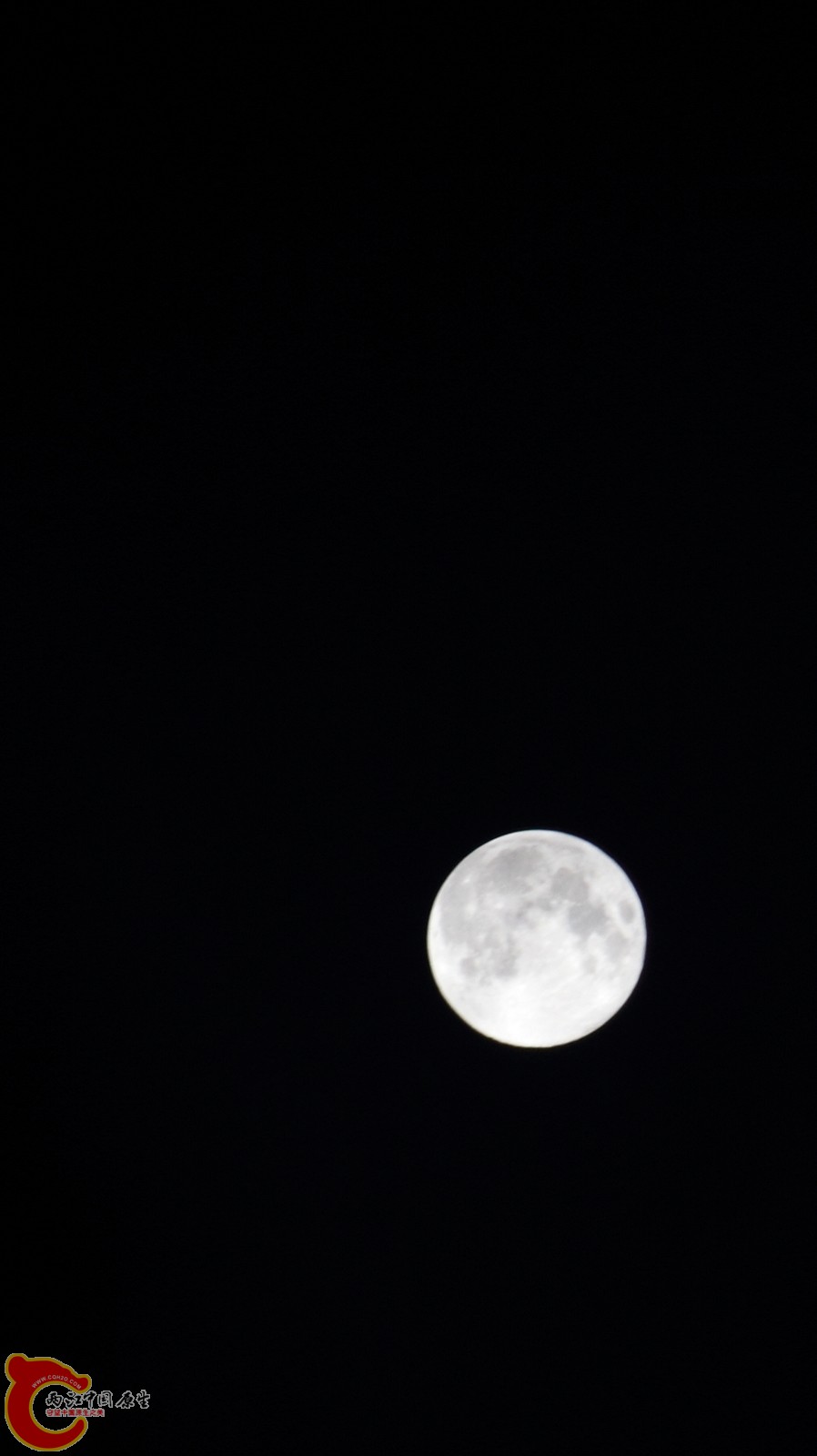 IMG_2874.jpg