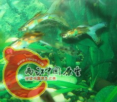 IMG_3064_调整大小.jpg