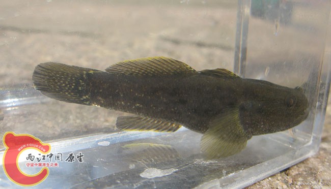 zIMG_4410.jpg