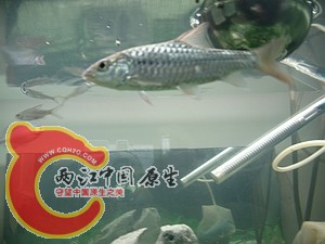 nEO_IMG_照片 006.jpg