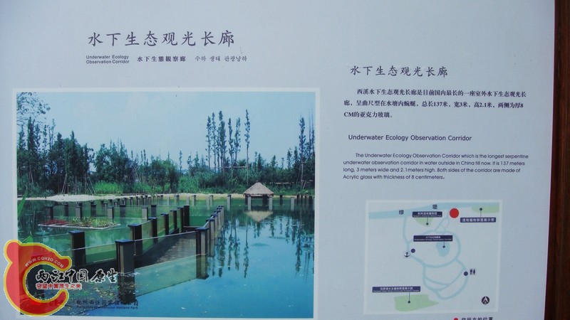 介绍