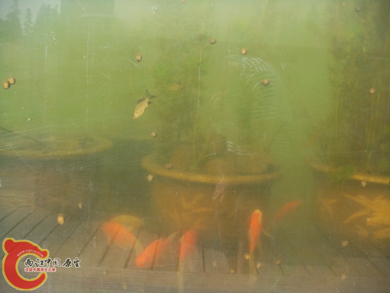 DSC08597.JPG