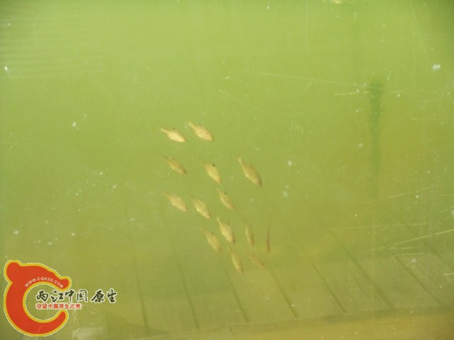 DSC08604.JPG