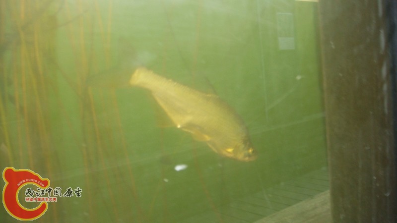 DSC08628.JPG