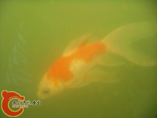 DSC08645.JPG