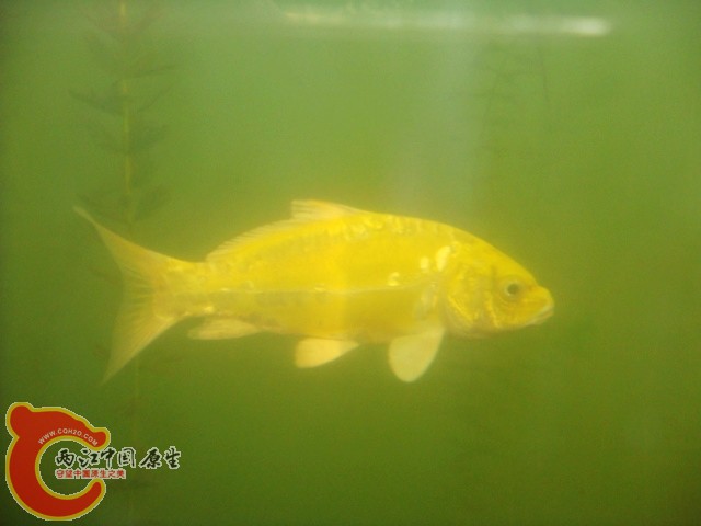 DSC08648.JPG