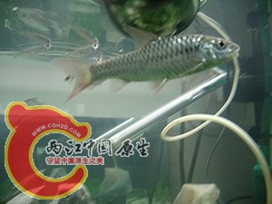 nEO_IMG_照片 007.jpg