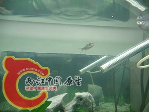 nEO_IMG_照片 008.jpg