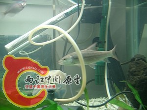 nEO_IMG_照片 010.jpg