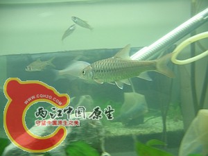 nEO_IMG_照片 021.jpg