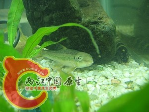 nEO_IMG_照片 031.jpg