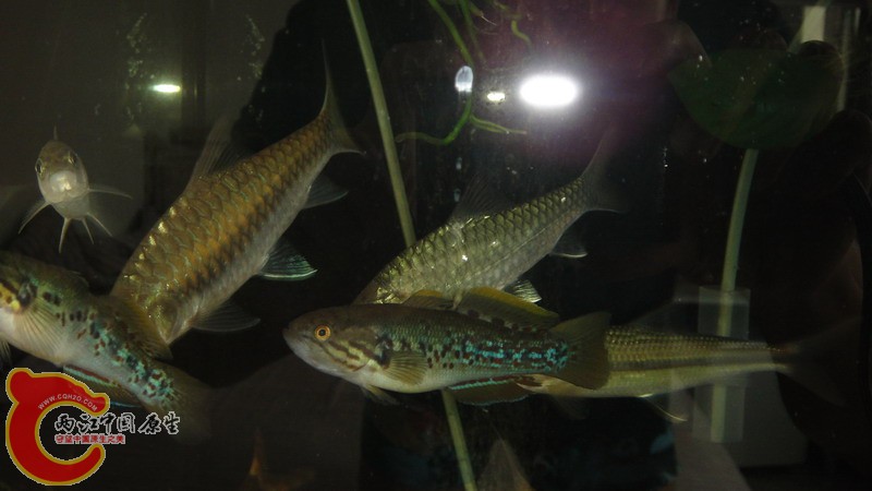 DSC07163_缩小大小.JPG