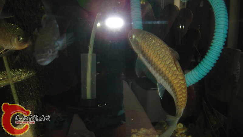 DSC07162_缩小大小.JPG
