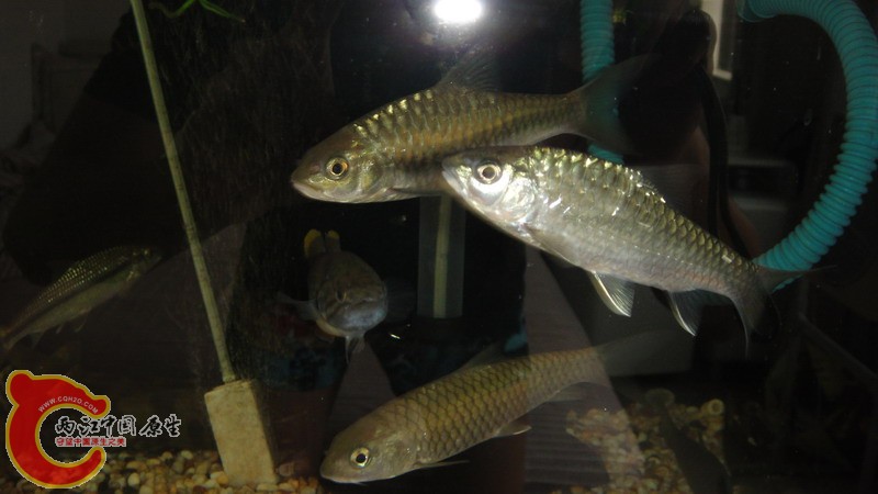 DSC07164_缩小大小.JPG