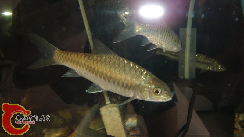 DSC07174_缩小大小.JPG