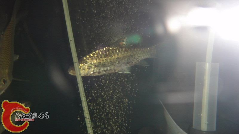 DSC07180_缩小大小.JPG