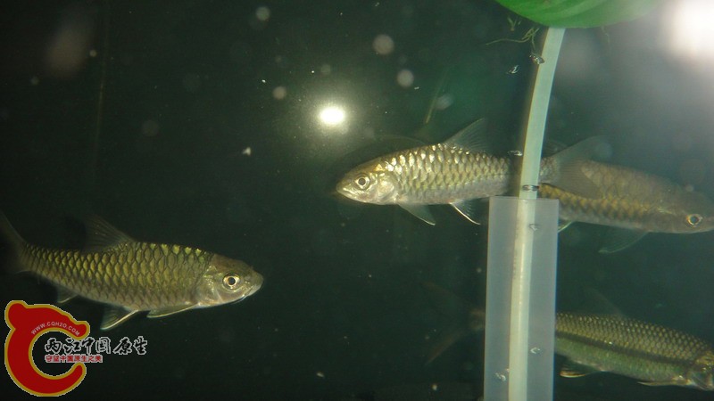 DSC07181_缩小大小.JPG