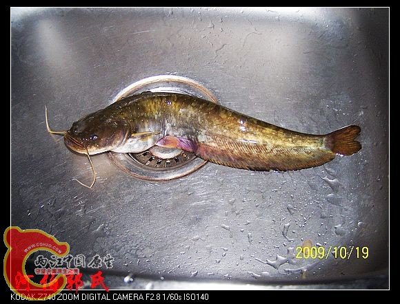 20091019_610bd9b0f88298c55a36hB3KZb3hhI77.jpg