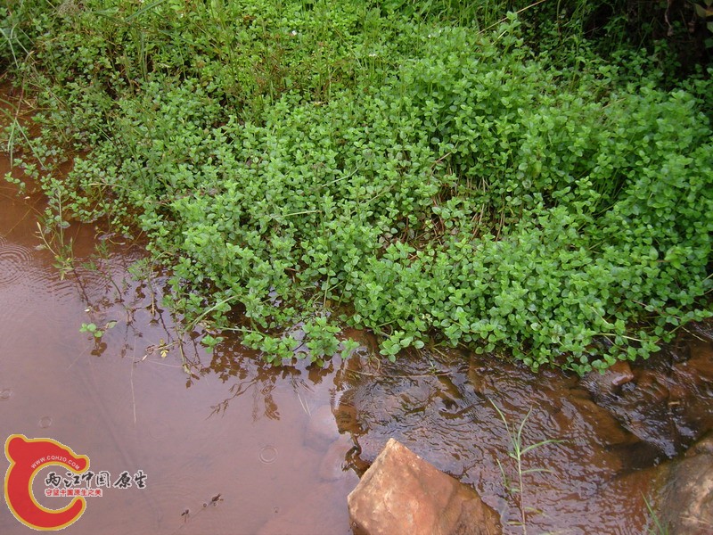 SNC10302.jpg