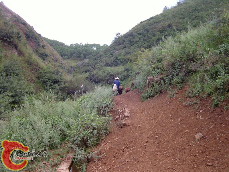 SNC10306.jpg